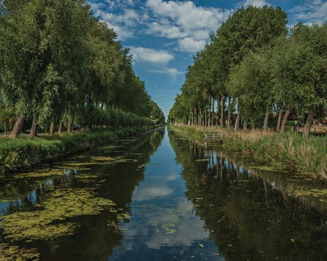 Flusskreuzfahrt per Rad & Schiff mit MS De Holland ab Amsterdam bis Brügge-3