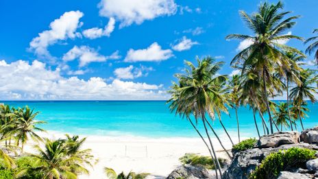 Strand Barbados mit Palmen