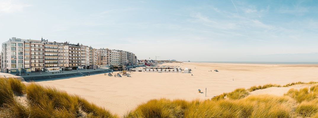Dünenlandschaft an der belgischen Nordseeküste in Flandern