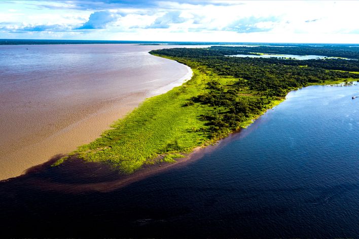 Amazonas Gebiet in Brasilien