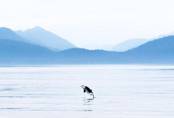 Kanada & Alaska