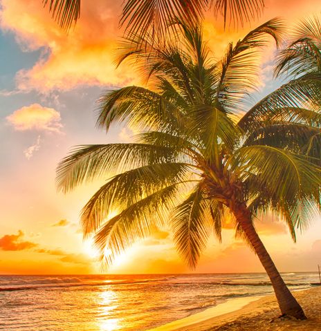 Sonnenuntergang am Karibik-Strand
