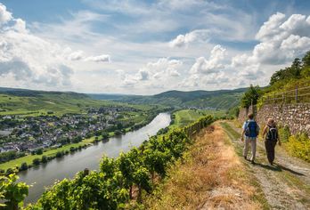 Moselsteig