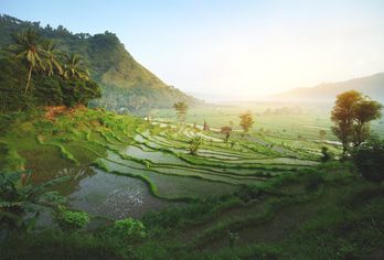Indonesien - Bali