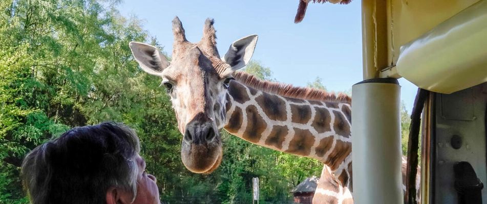 Eisberg in Grönland