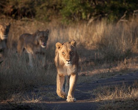 Rundreise ab Johannesburg bis Kapstadt