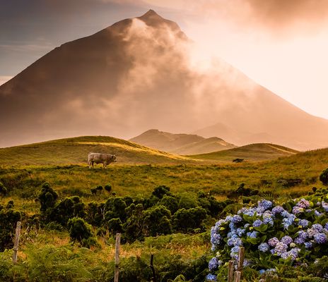 Vulkan auf den Azoren