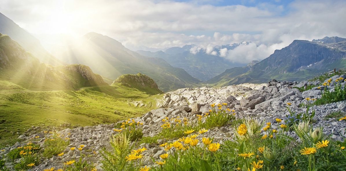 Alpenlandschaft in Tirol