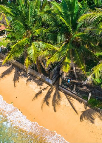 Tropischer Strand in Unawatuna mit türkisblauem Meer und Palmen an der Südküste Sri Lankas