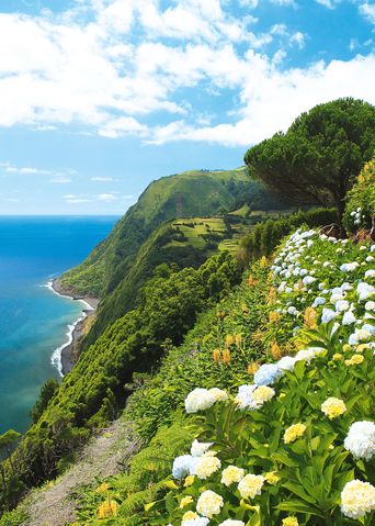 Grüne Landschaft auf den Azoren