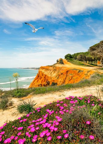 Klippen an der Algarve