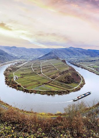 Panoramablick auf die Moselschleife bei Bremm mit Weinbergen, Mosel und umliegender Landschaft