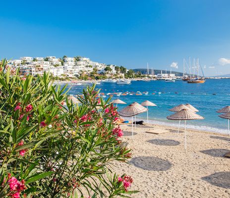Blick auf einen Küstenort bei Bodrum mit blühenden Pflanzen und tiefenblauem Mittelmeer