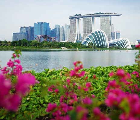 Blumenbeet im Vordergrund mit Blick auf die moderne Skyline von Singapur