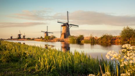 Windmühlen in Kinderdijk