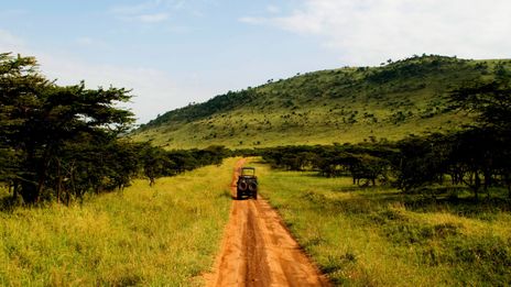 Jeep im Serengeti Nationalpark