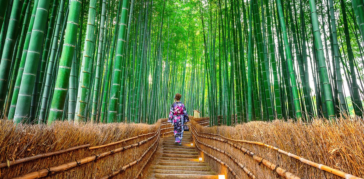 Frau im Bambuswald in Kyoto