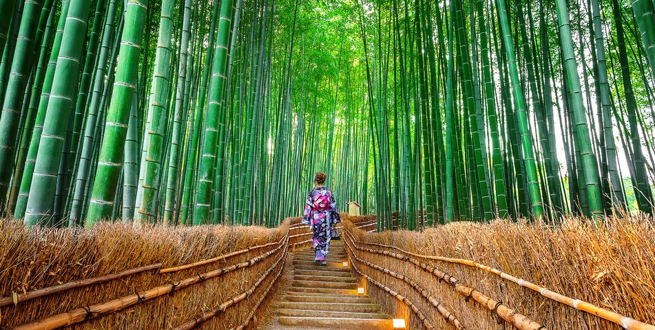 Frau in traditioneller asiatischer Kleidung geht durch dichten Bambuswald über einen Holzsteg