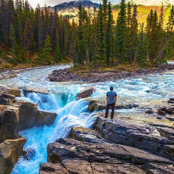 Flusslandschaft im Jasper Nationalpark mit Strömung und Nadelwald