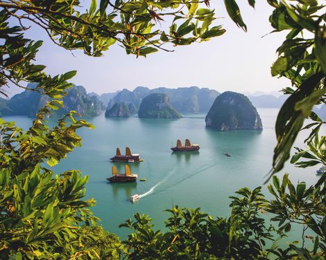 Von der Dschunke ins Dschungelgrün-0