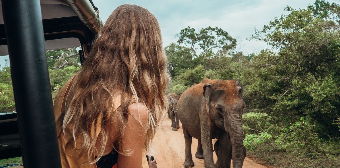 Frau im Geländewagen auf Safari beobachtet Elefant