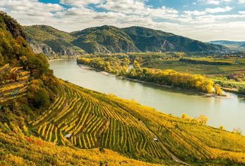 Donau