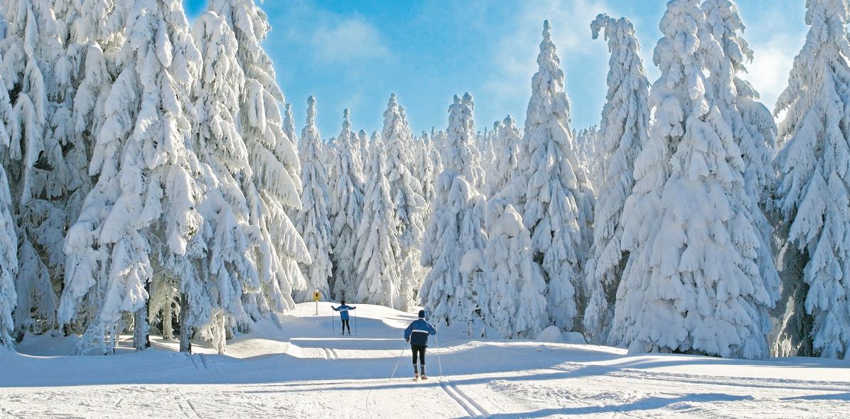 Skifahrer in einer Winterlandschaft in Berchtesgaden