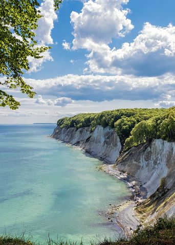 Kreidefelsen auf Rügen