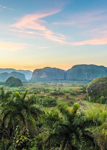 Grüne Landschaft im Vinales Tal mit Hügeln und Feldern