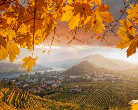 Flusskreuzfahrt mit A-ROSA RIVA/DONNA ab/an Passau-0