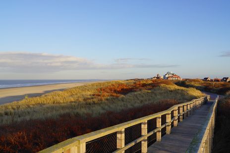 Dünenlandschaft und Strand auf der Insel Juist