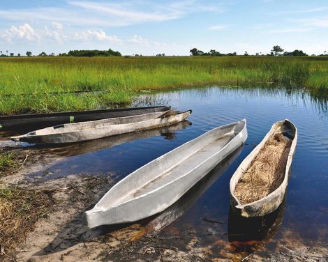 Exklusive Flug-Safari von den Weiten des Okavango bis zu den Viktoriafällen