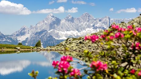 Landschaft in der Steiermark