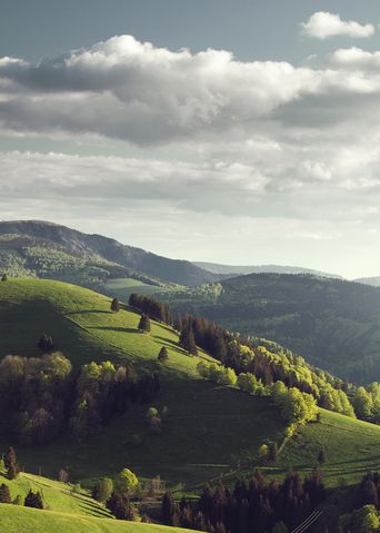 Landschaft im Schwarzwald