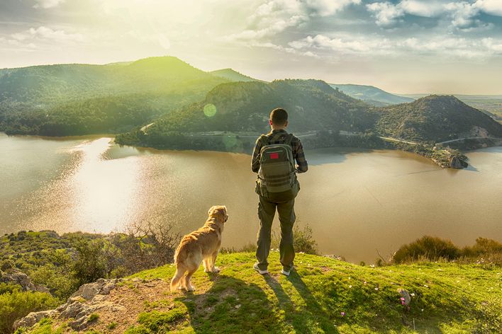 Mann mit Hund an Wandern Landschaft