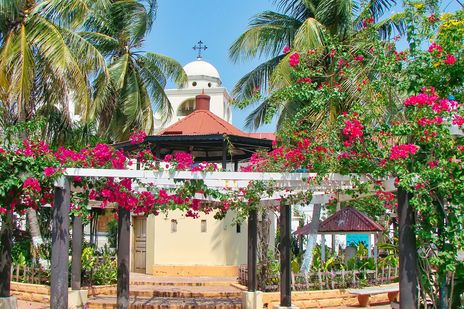 Blühende Pflanzen und Palmen vor einer Kirche in Flores, Guatemala