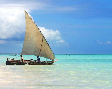 Unvergessliche Tiermomente & exklusive Wohlfühltage-2