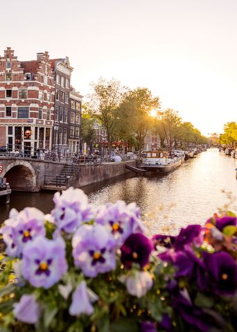 Gracht mit Blumen und historischen Häusern in Amsterdam