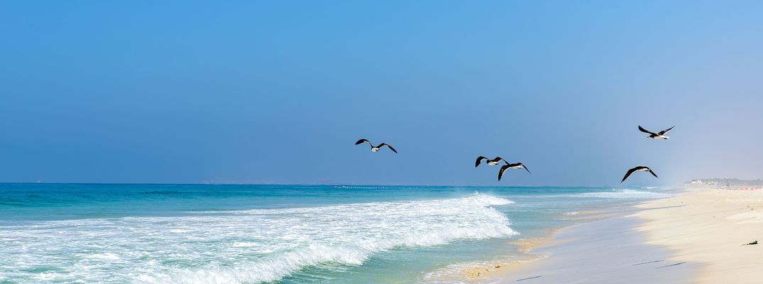 Weißer Sandstrand bei Salalah im Oman mit türkisfarbenem Meer und fliegenden Vögeln