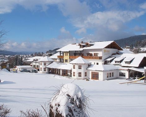 Wellness- und Wohlfühlhotel Waldeck-0