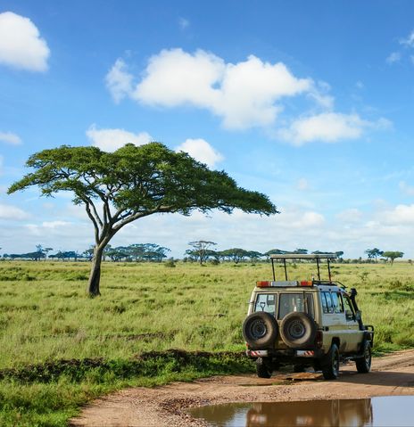 Geländewagen im Serengeti Nationalpark
