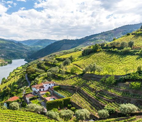 Fluss Douro in Portugal