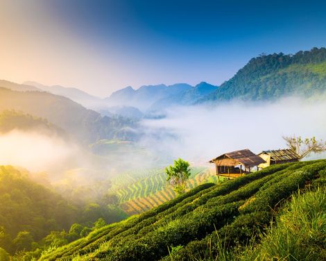 Zwischen Goldenen Tempeln und exotischen Märkten