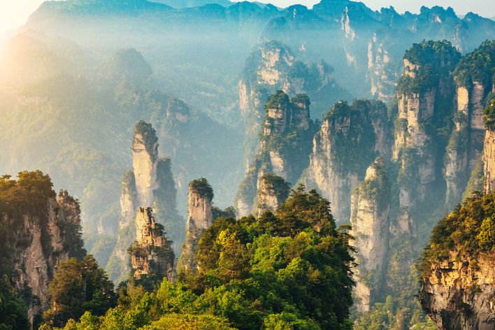 Aussicht vom Zhangjiajie Nationalpark auf die berühmten "Avatar Berge", eine Landschaft die aus vielen Rausragenden Steinsäulen besteht