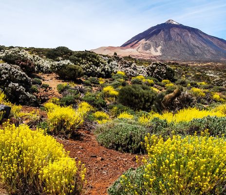 Blick auf den Teide auf Teneriffa