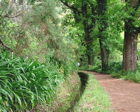 Wandern mit Leichtigkeit – entdecken, genießen, zurückkehren-3