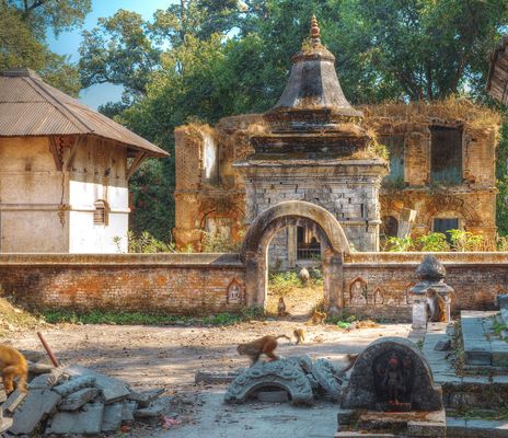 Tempel und Affen in Kathmandu