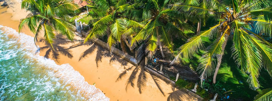 Tropischer Strand in Unawatuna mit türkisblauem Meer und Palmen an der Südküste Sri Lankas