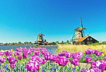 Niederlande