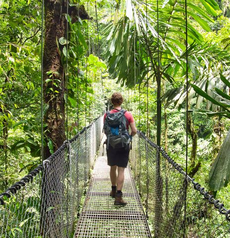 Person überquert eine Hängebrücke durch den dichten Nebelwald von Monteverde, Costa Rica